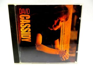 David Cassidy ♫ Self - Titled ♫ Enigma 7 73554 - 2 ♫ Rare Cd