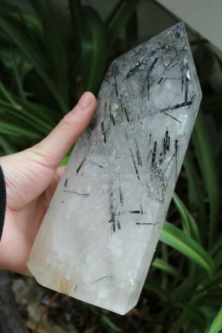Natural Rare Tourmaline Quartz Crystal Point Healing 1672g