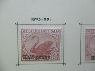 Western Australia Stamps: 1893 - 95 Overprint Half Penny - Rare (e180)