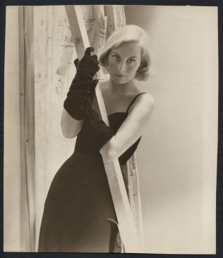Very Rare Portrait Photo Of Michele Morgan Wearing Gloves