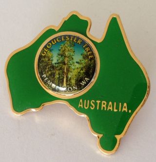 Gloucester Tree Pemberton Wa Australia Pin Badge Rare Vintage Souvenir (g9)