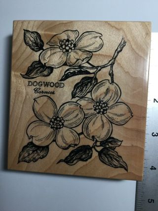Psx Botanical Dogwood Rubber Stamp K - 1228 From 1994 Rare Tree Flower