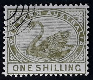 Rare 1885 - Western Australia 1/ - Olive Green Swan Stamp Specimen Oval Cancel