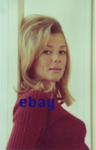 Inger Stevens Hot Photo Blonde Busty Girl Sexy Glamour Tight Sweater Rare