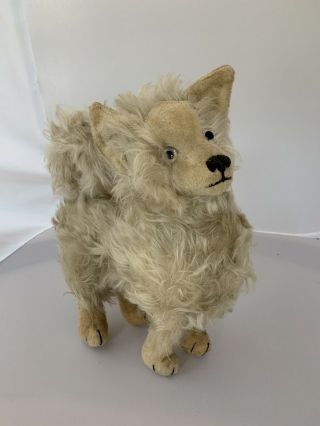 1920’s Rare Vintage Dog With Moving Head
