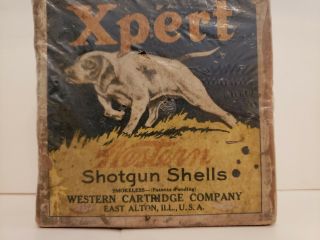 Antique Western Xpert 2 Pc Empty Shotgun Shell Box 12 Ga W/pointer Dog Rare