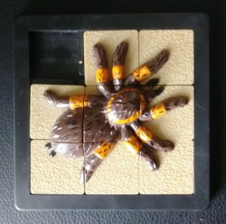 1993 Damert Company Spider Insect Rare Sliding Square Jigsaw Puzzle 3 - D 3d