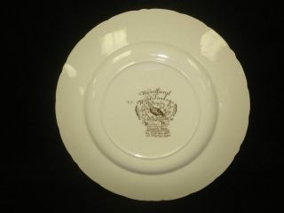 Rare Johnson Brothers Woodland Wild Turkey Windsor Ware Dinner Plate 10 3/4 4