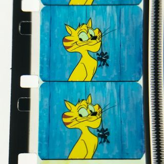 Gay Purr - Ee 16mm Rare 1962 Warner Brothers Animated Feature