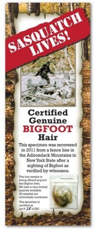 Bigfoot Hair Sample - York State Park Rare & Unique Gift Boy Child Man Cave