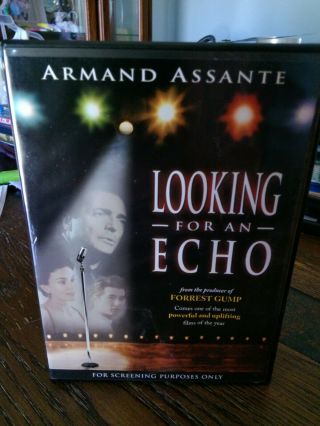 Looking For An Echo (dvd,  2002) Armand Assante Like Never Watched Rare & Oop