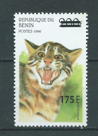 Benin - Surcharged - Overprint - Wildcats - 200f X 175 F - Mnh - Very Rare