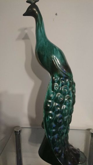 Blue Mountain Pottery Rare Large Peacock Stunning 201/2 Inches High