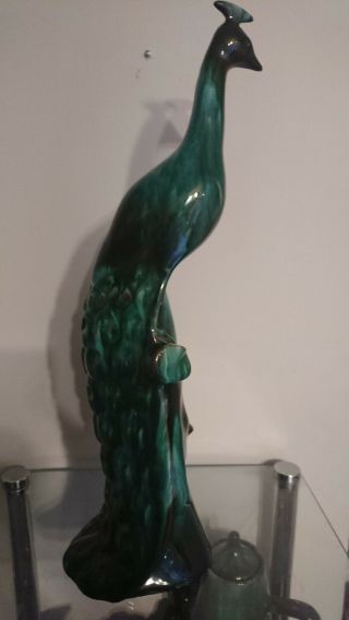 Blue Mountain pottery rare Large peacock stunning 201/2 inches high 5