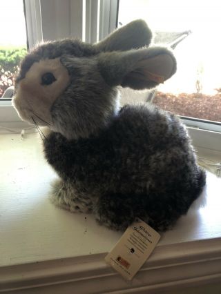 Steiff Dossy Easter Rabbit 086724 W/ Rare German Tags Plush Stuffed Animal