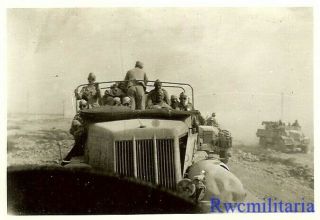 Rare German Afrika Korps Sdkfz Halftrack & Captured British Trucks In Desert