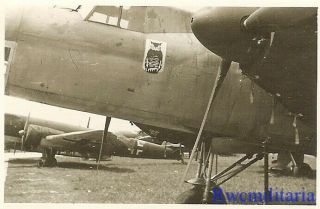Rare: Luftwaffe Do.  17p - 1 Recon Plane W/ Staffel Emblem; 6.  (f) /aufkl.  Gr.  122