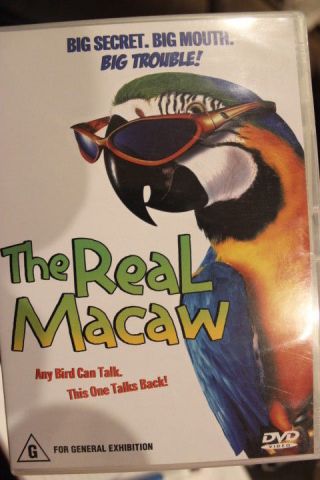 The Real Macaw Rare Deleted Oop Dvd Jamie Croft & Jason Robards Children 