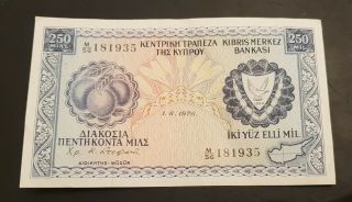 Cyprus 1976 250 Mils Rare Date Banknote In Exf