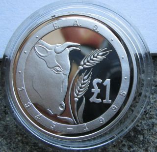 Cyprus 1 Pound 1995 50th Fao Anniversary Silver 925 Proof F.  A.  O.  Rare