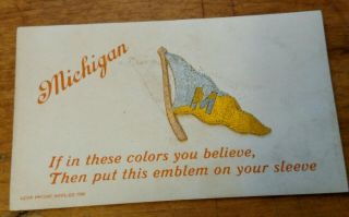 Rare Vintage Michigan Sleeve Patch,  Can Be Removed