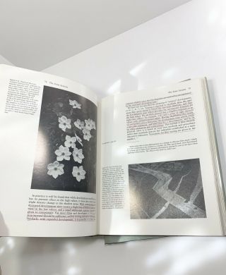 Ansel Adams The Camera; Negative; Print 3 Volume 1985 Set Photography Rare Books 8