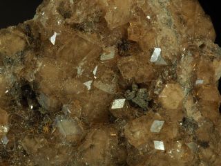 Grossular Garnet Group,  Rare,  Jeffrey Mine Asbestos Quebec Canada 4
