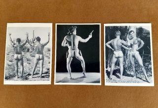 Rare Bob Mizer - Amg - Set 3 Greeting Cards " Sample Cards " Boys Avec Boys 1981