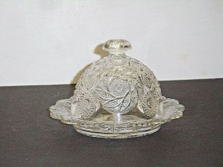 Rare Antique Eapg Westmoreland Specialty 575 Paddle Wheel Butter / Cheese Dish