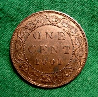 1901 CANADA Large Cent COPPER Victoria RARE 2