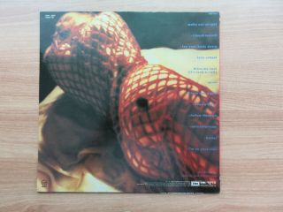 Divinyls - Divinyls Korea Orig Vinyl LP 1991 w/inser No barcode Rare 3