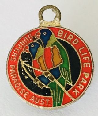Surfers Paradise Bird Life Park Small Members Club Badge Pin Vintage Rare (n23)