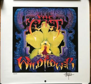 The Cult Wild Flower Rare Promo Print Poster (signed And Numbered) 1987