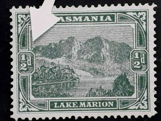 Rare 1902 - Tasmania Australia 1/2d Green Pictorial Stamp P12.  5 Plate Crack