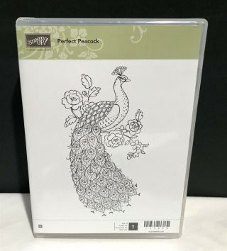 Stampin Up Perfect Peacock Bird Feathers Wood Rubber Stamp Rare