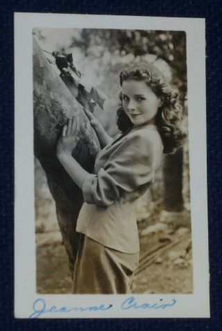 Jeanne Crain Rare Early Vintage Signed 4 By 2.  5 " Photo Famous Actress