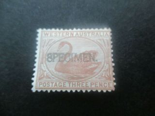 Western Australia Stamps: 3d Brown Overprint Specimen - Rare (f350)