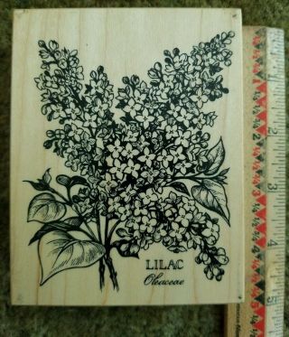 Rare Psx K - 1299 Lilac Flower Botanical Oleaceae Rubber Stamp