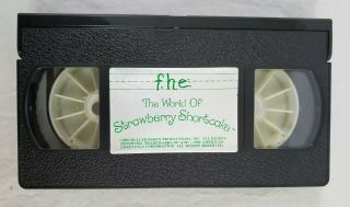 Rare Vintage Strawberry Shortcake - The Wonderful World of (VHS,  1993) 3