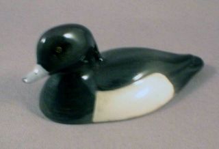 Very Rare Small Size Beswick Tufted Duck - Perfect