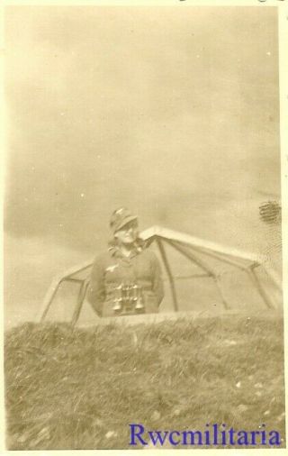 Rare: Female Uniformed Luftwaffe Blitzmädel Helferin Girl W/ Binoculars