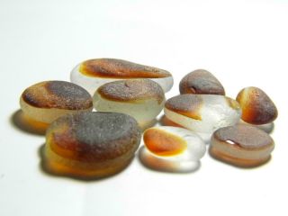 9 Multi M - XL Amber Orange Nut Lemon 1oz JQ RARE Seaham English Sea Glass 3