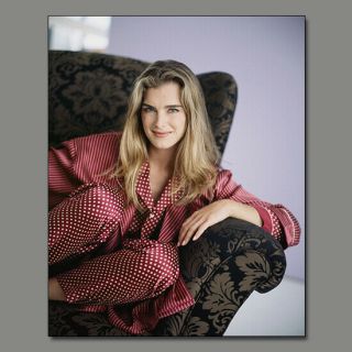 Brooke Shields Sexy Rare 8x10 Photo Vp75