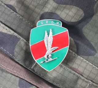 Rare Metal Pin / Badge Polish Special Forces Jw Grom - Army Military