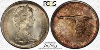 1967 Canada Silver $1 Dollar Bu Pcgs Ms65 Rare Bronze Color Toned Pattern
