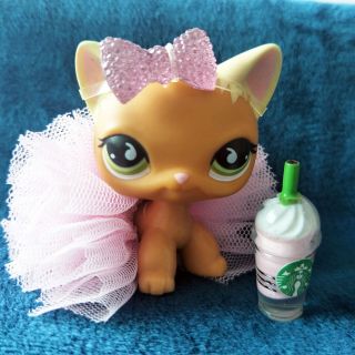 Hasbro Littlest Pet Shop Lps Short Hair Cat 525 With Accessories Very Rare