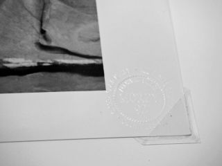 1992 Craig Morey 11X14 B&W Rare Gelatin Silver Nude Study Signed Ready for Frame 2