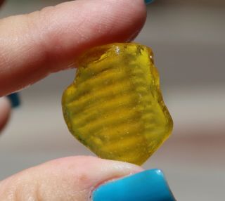 VERY RARE YELLOW/GOLD SEAGLASS WITH RIDGES AND LIP,  BRIGHT U.  V.  GLOW LARGE 3