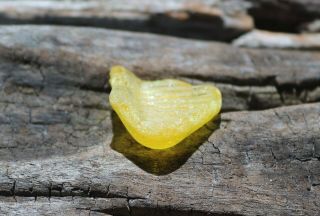 VERY RARE YELLOW/GOLD SEAGLASS WITH RIDGES AND LIP,  BRIGHT U.  V.  GLOW LARGE 5
