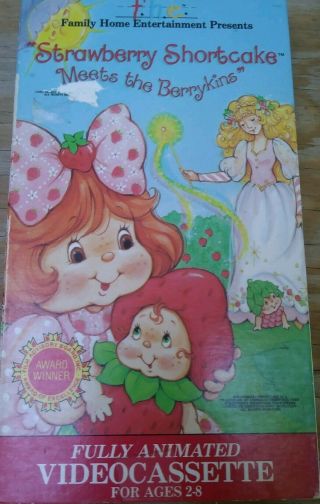 Strawberry Shortcake Vhs Rare Meet The Berrykins Cartoon Children